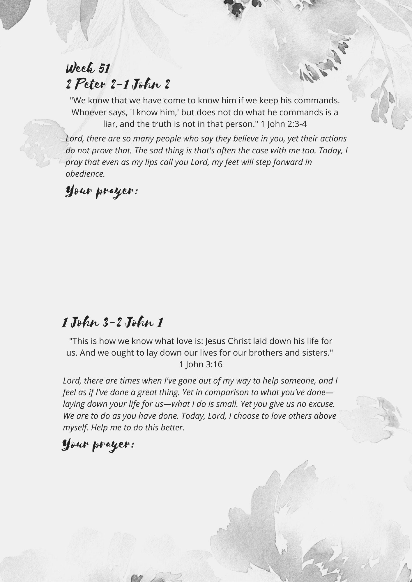 Praying Through the Bible in One Year (Journal)