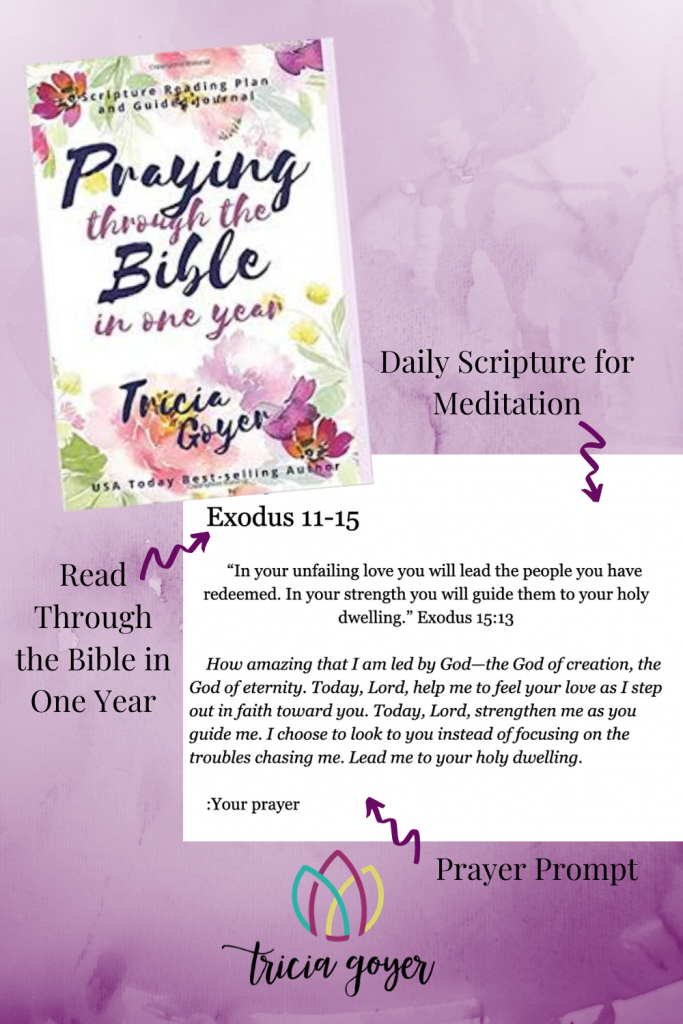 Praying Through the Bible in One Year (Journal)