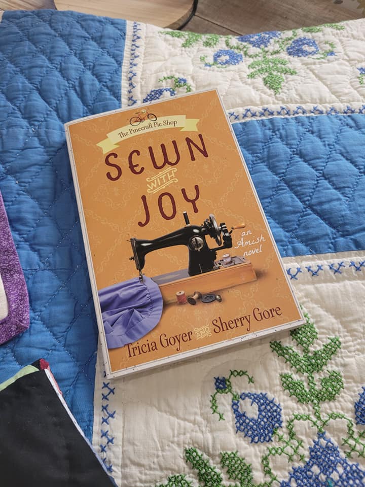 Sewn with Joy (Pinecraft Amish Series, Book 3)