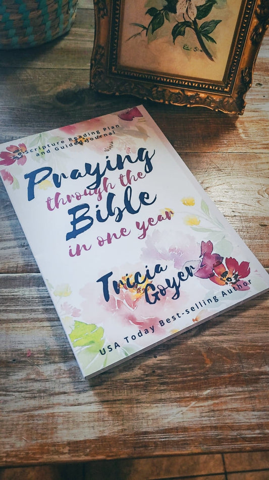 Praying Through the Bible in One Year (Journal)
